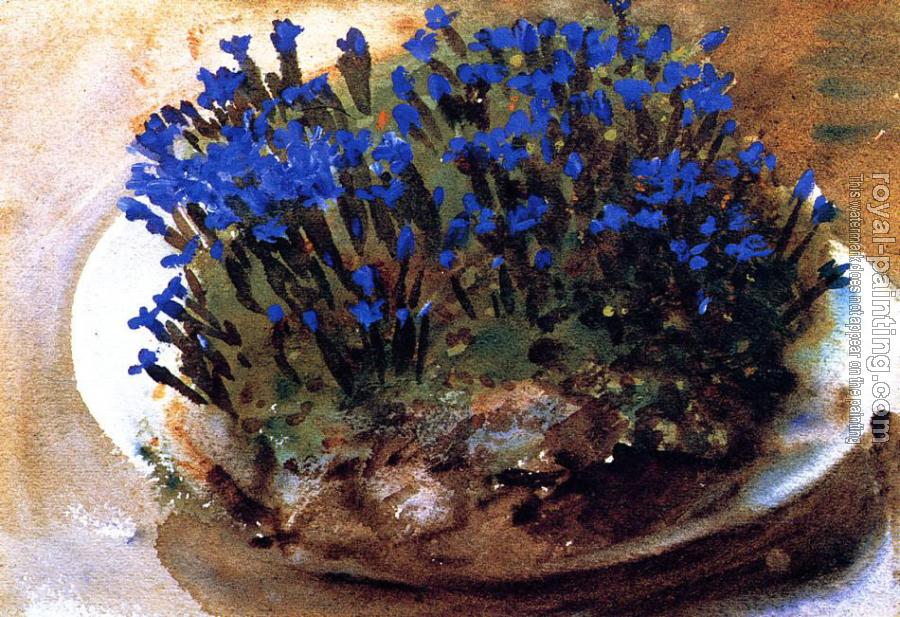 John Singer Sargent : Blue Gentians John Singer Sargent : Blue Gentians